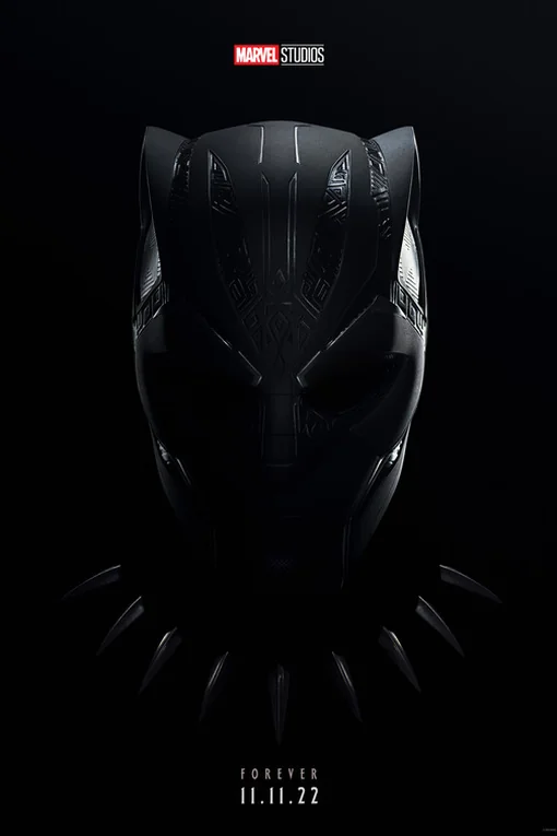 Stream Black Panther: Wakanda Forever on IPTV Stream